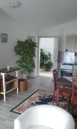 Апартаменты Apartments Marija Бар Апартаменты с 2 спальнями (для 5 взрослых)-5